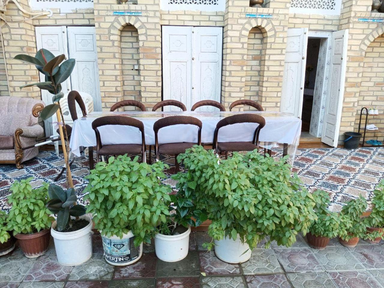 Sohibqiron Boutique Otel Buhara Dış mekan fotoğraf